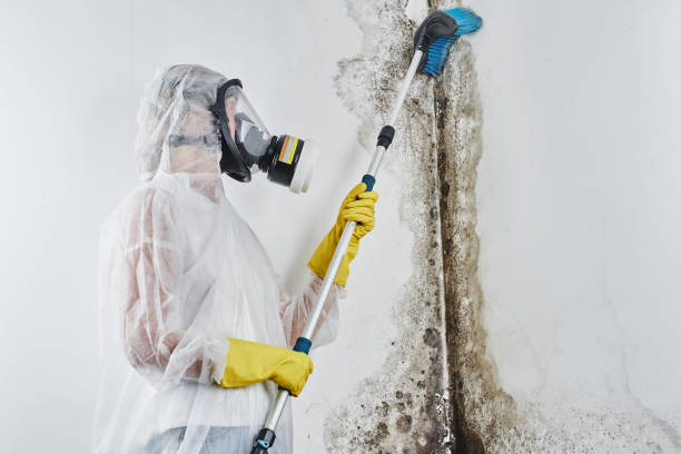 Best Mold Testing  in Russell, KY