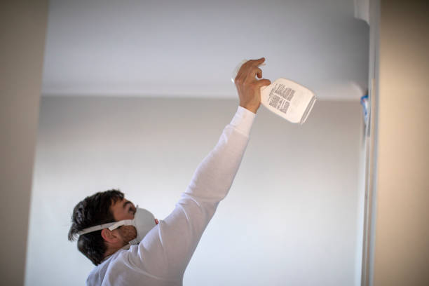 Best Mold Damage Repair  in Russell, KY