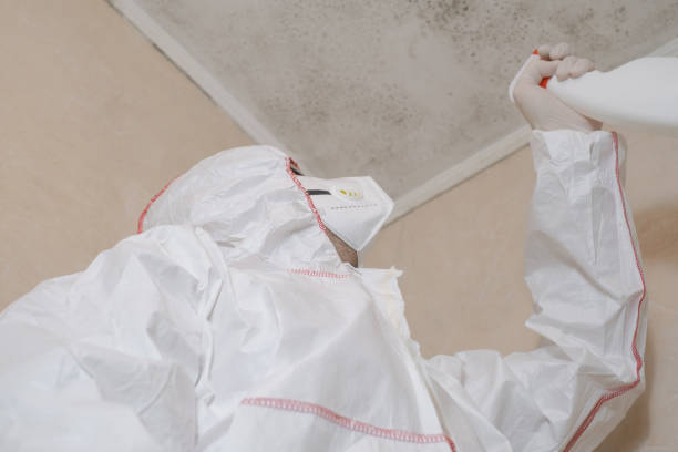 Best Home Mold Removal  in Russell, KY