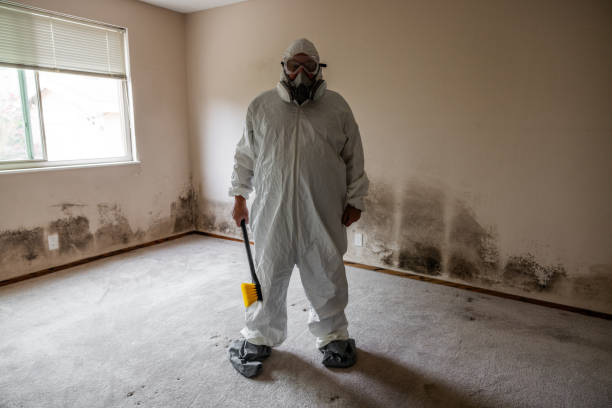 Best Mold Removal Specialists  in Russell, KY